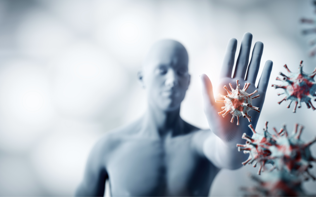 Allenamento e sistema immunitario: come l’esercizio fisico rafforza le difese